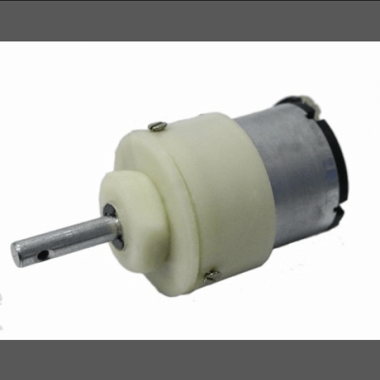300 RPM 12V Center Shaft DC Gear Motor