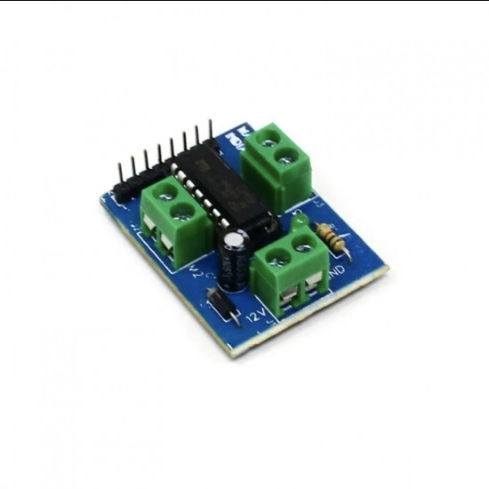 L293D Motor Driver Module